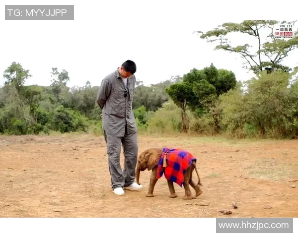 姚明近期视频分享篮球训练心得与生活点滴引发热议